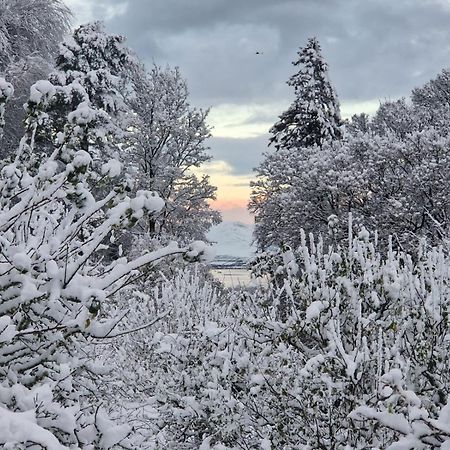 Roberts' Cottage ويستبورت المظهر الخارجي الصورة